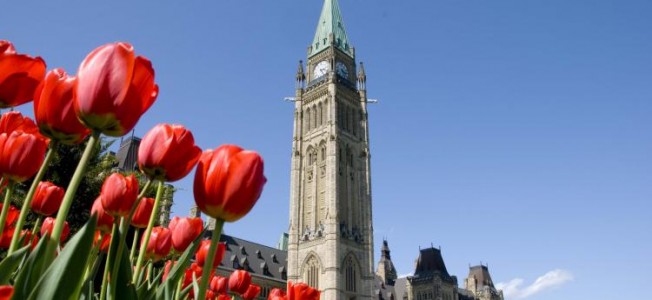 TulipfestParliamentHill01Tower